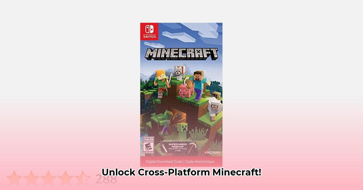 minecraft-download-code-switch